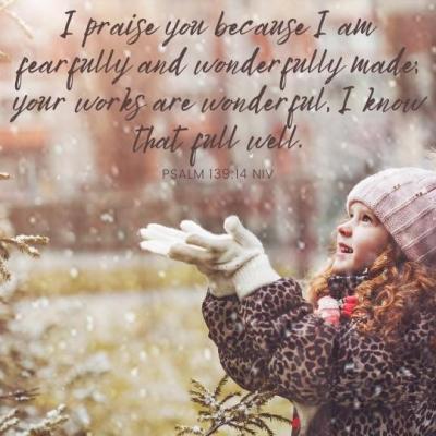 Fearfully and Wonderfully&nbsp;Made